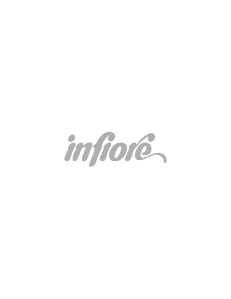 Infiore